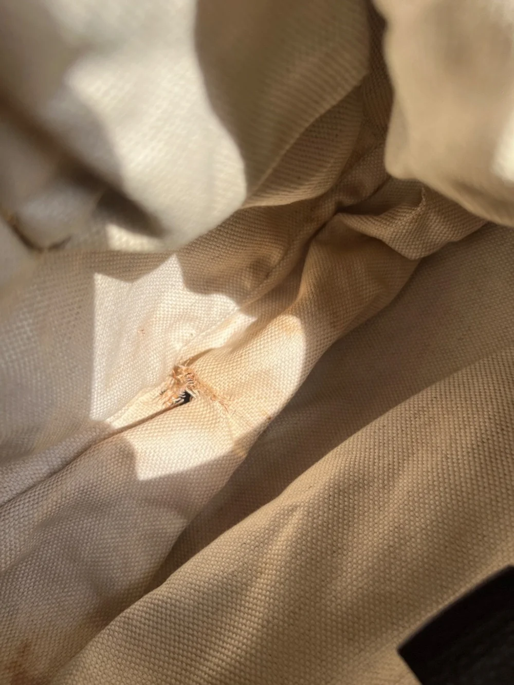 GUCCI Beige/Ebony GG Canvas Dressage Hobo Bag